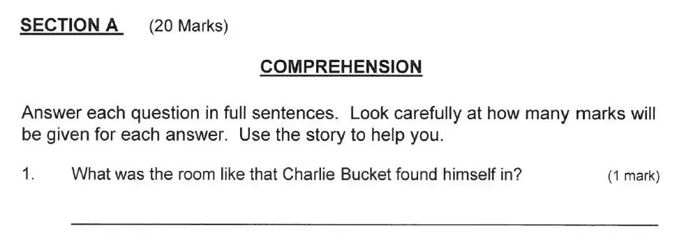 Question School - Solihull School – 9 Plus English Sample Paper 2