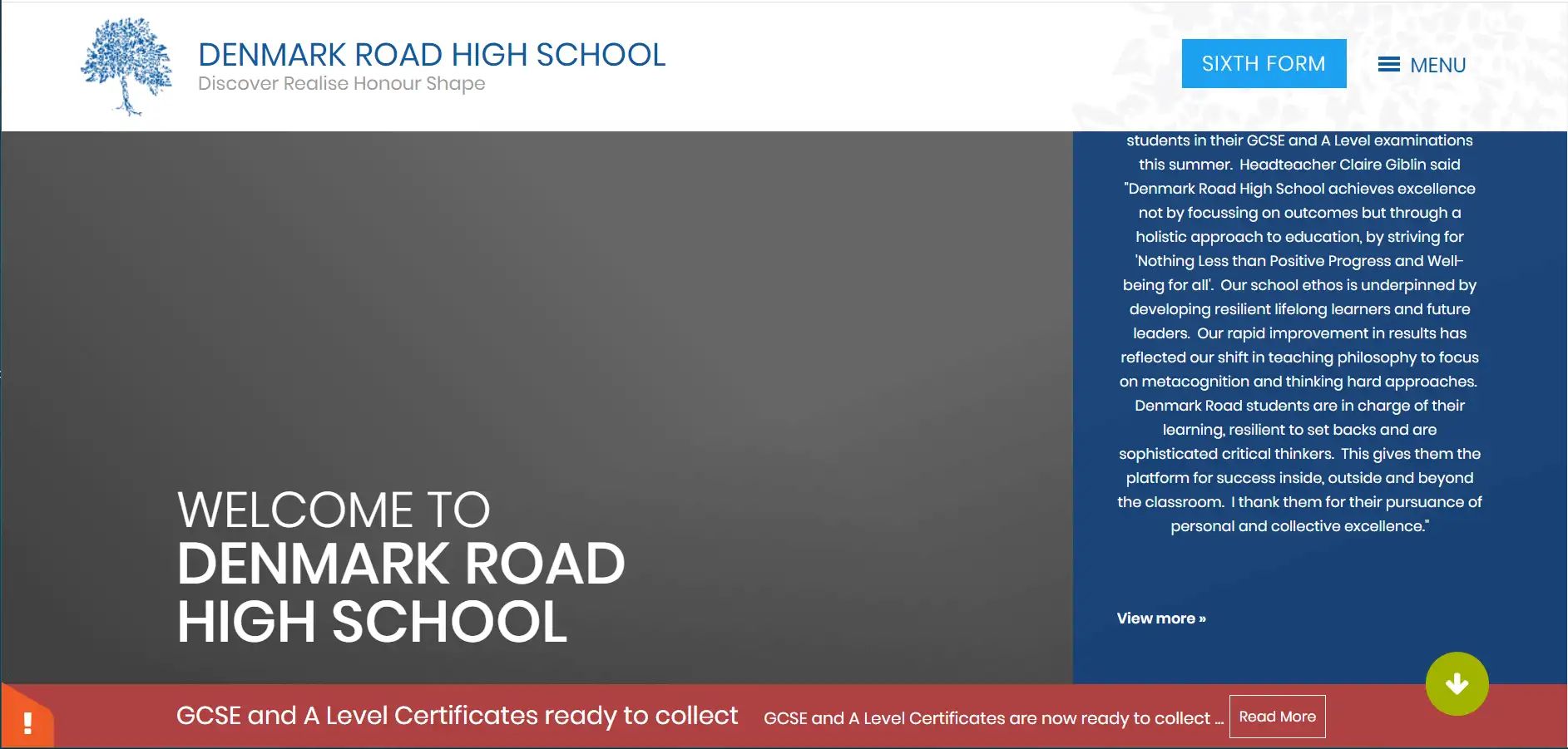 2025 Complete Guide Denmark Road High School 11+ Exam - blog image