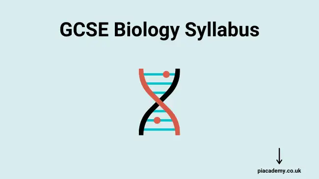 Everything you need to know about GCSE Biology Syllabus - blog image