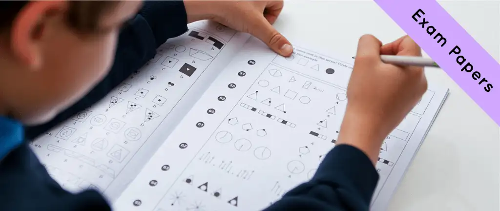 The Tiffin Girls School 11 Plus (11+) Exam Papers Guide - blog image