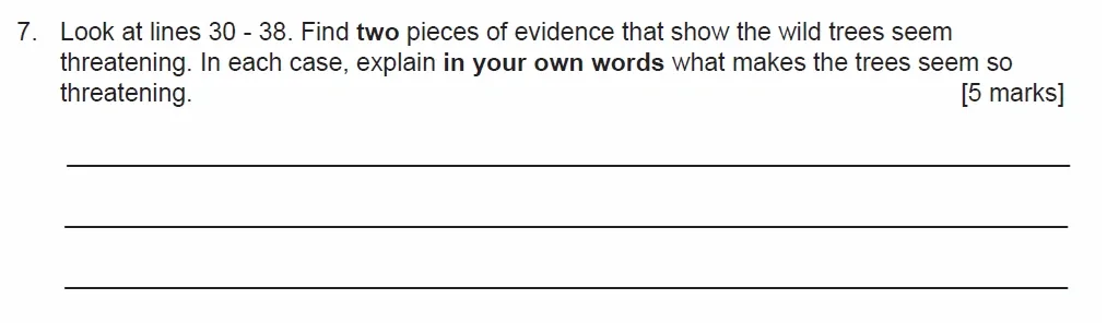 Question 07 - Manchestor Grammar School - 11 Plus English Comprehension Entrance Examination - 2020