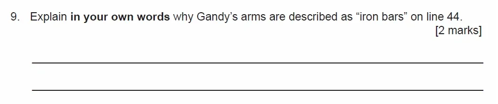 Question 09 - Manchestor Grammar School - 11 Plus English Comprehension Entrance Examination - 2020