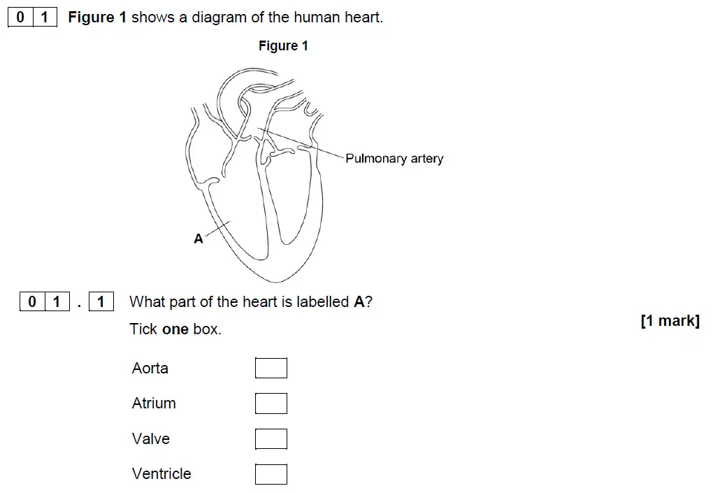 Question 1 - GCSE AQA Foundation Biology Specimen Paper 1