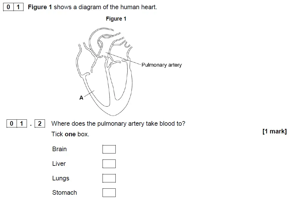 Question 2 - GCSE AQA Foundation Biology Specimen Paper 1