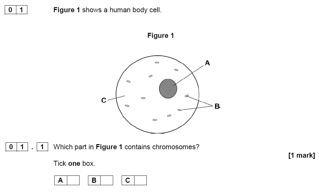 Question 1 - GCSE AQA Foundation Biology Specimen Paper 2