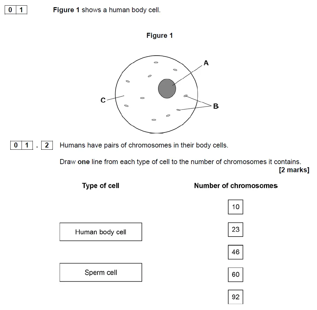 Question 2 - GCSE AQA Foundation Biology Specimen Paper 2
