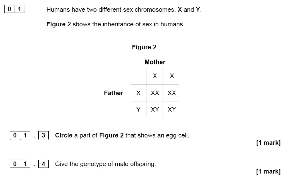 Question 3 - GCSE AQA Foundation Biology Specimen Paper 2