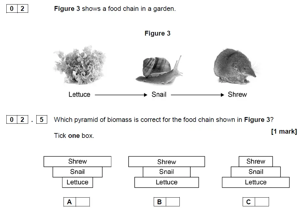 Question 8 - GCSE AQA Foundation Biology Specimen Paper 2