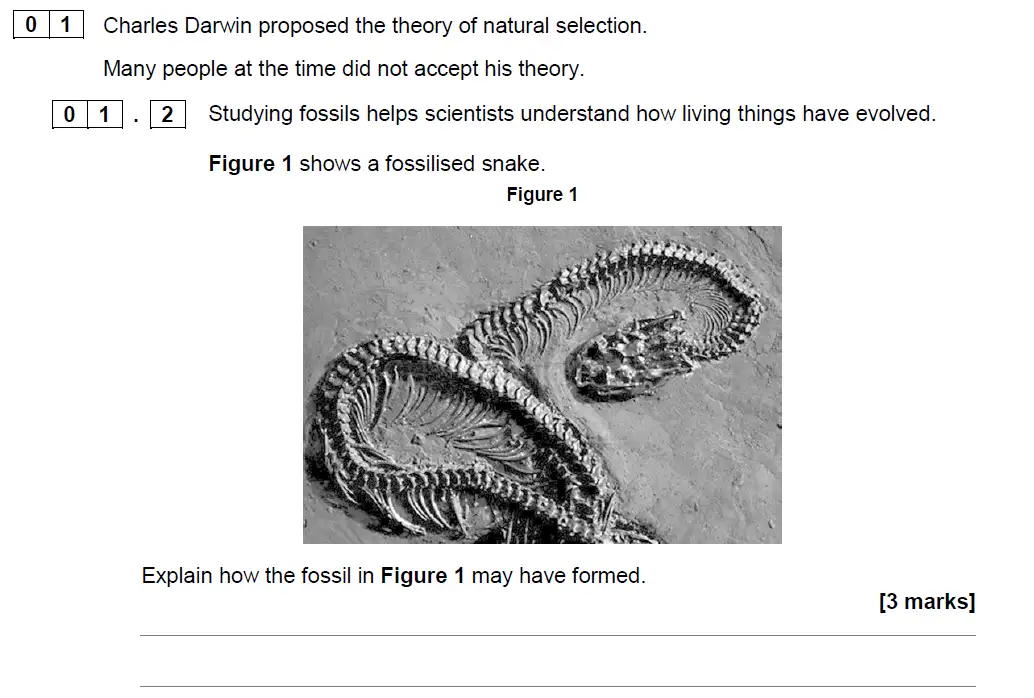 Question 2 - GCSE AQA Higher Biology Specimen Paper 2