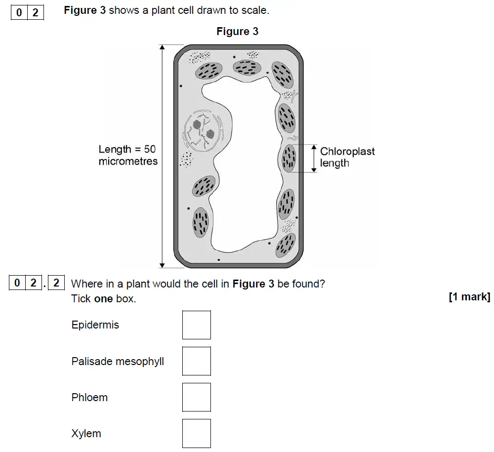 Question 10 - GCSE AQA Foundation Biology Past Paper 1 - June 2018