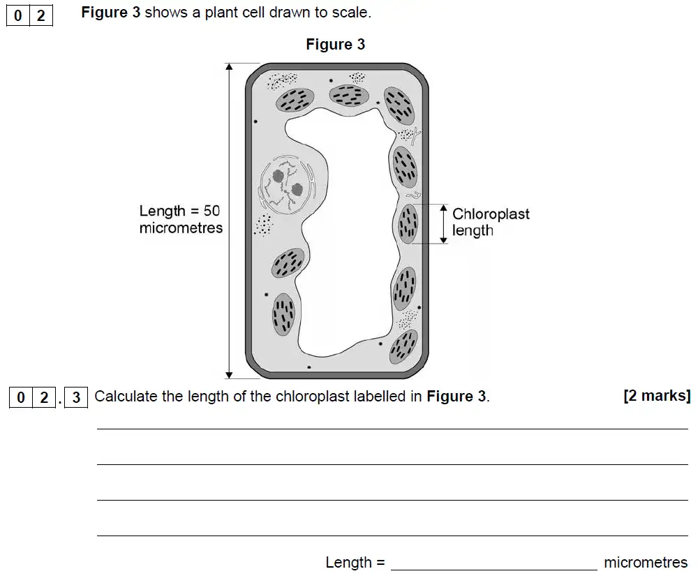 Question 11 - GCSE AQA Foundation Biology Past Paper 1 - June 2018