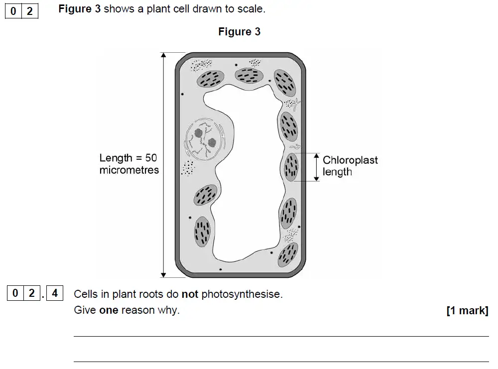 Question 12 - GCSE AQA Foundation Biology Past Paper 1 - June 2018