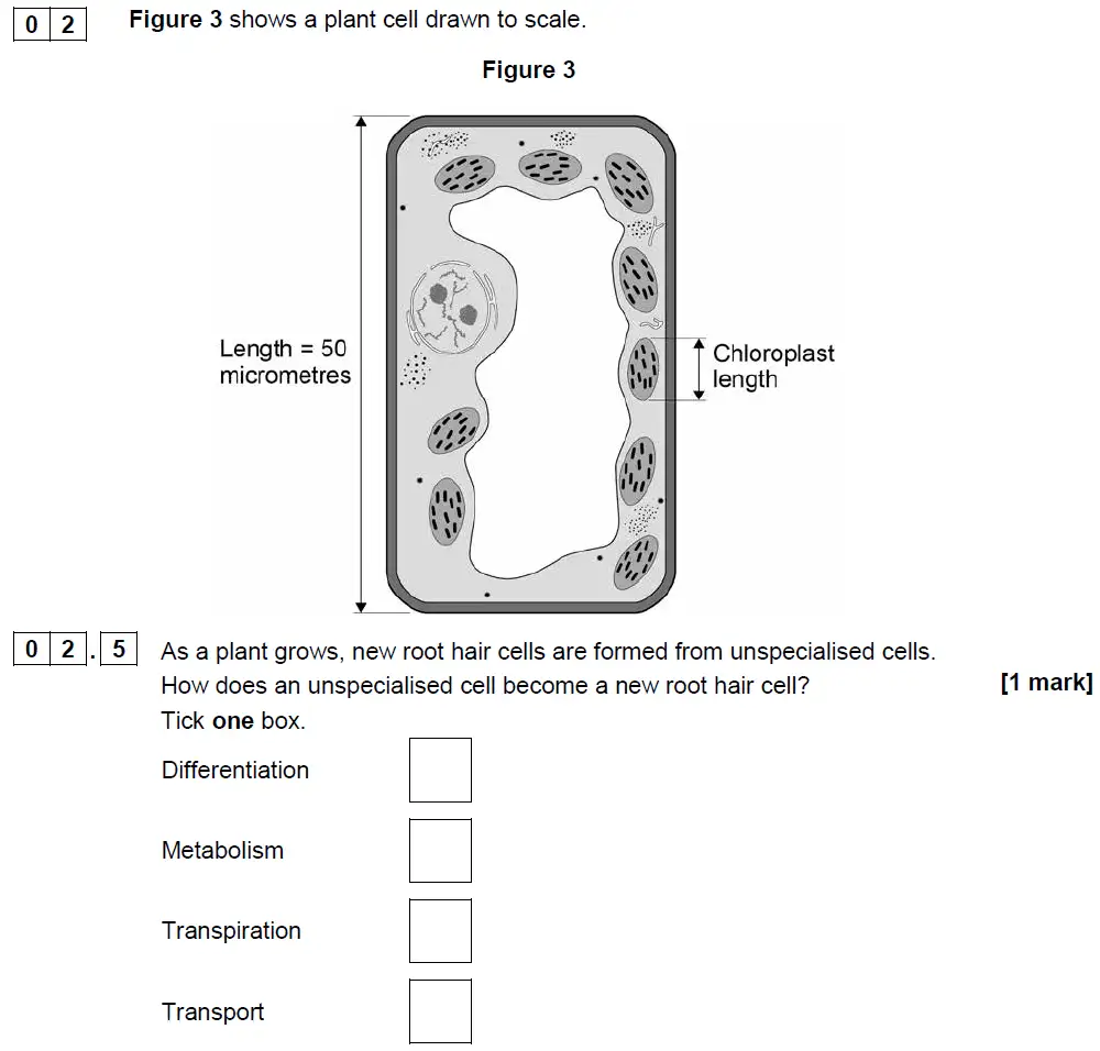 Question 13 - GCSE AQA Foundation Biology Past Paper 1 - June 2018