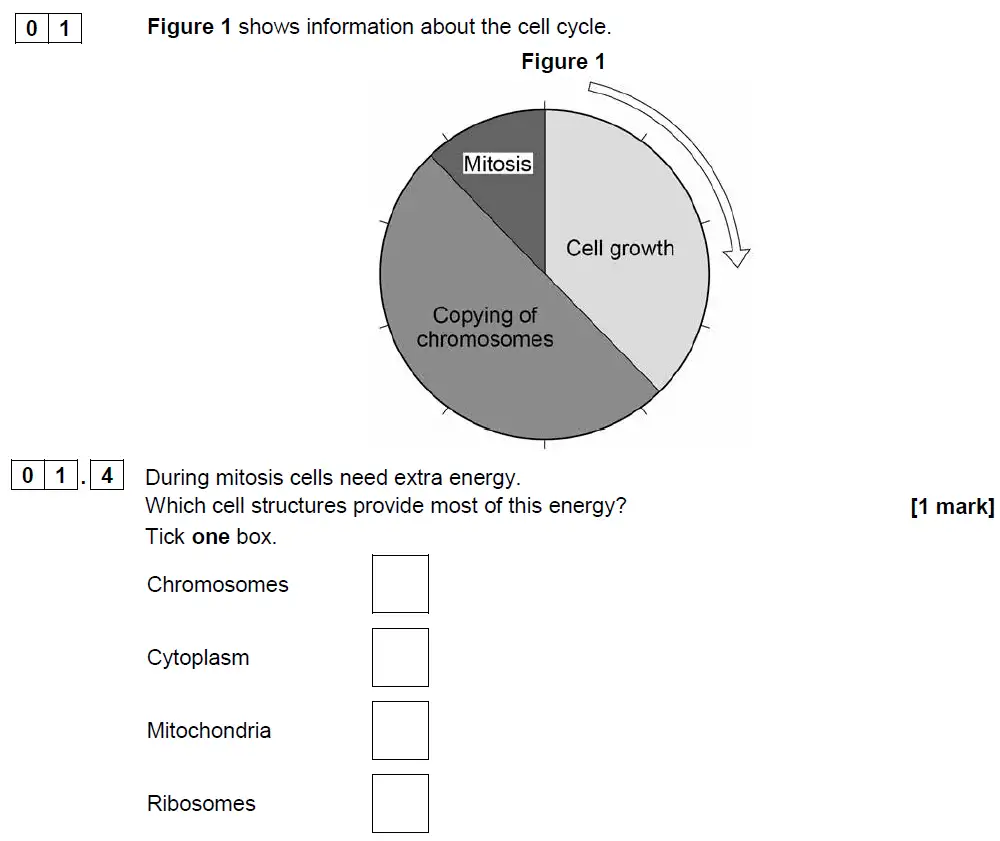 Question 04 - GCSE AQA Foundation Biology Past Paper 1 - June 2018