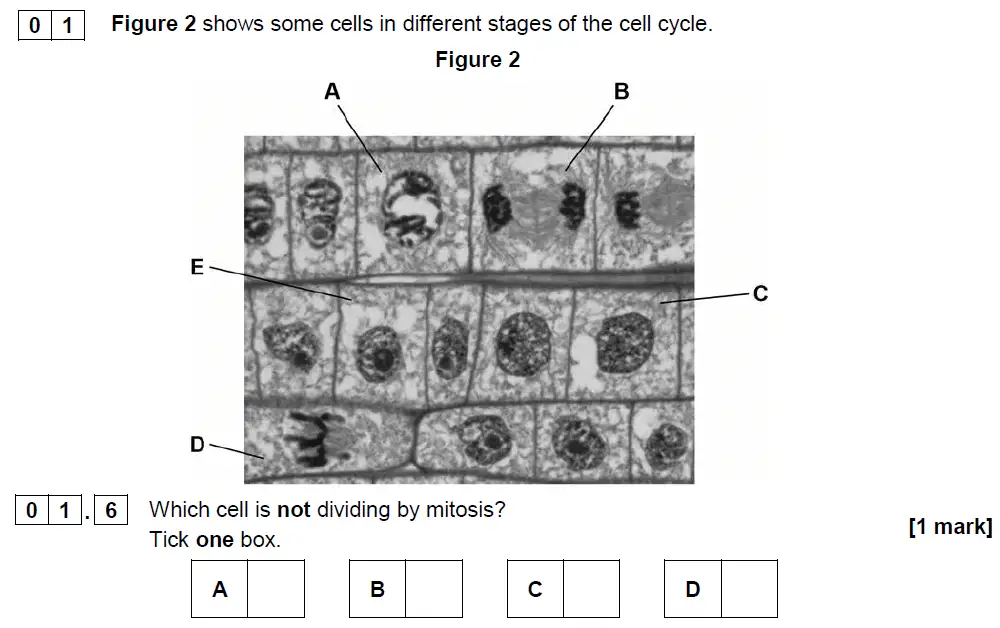 Question 06 - GCSE AQA Foundation Biology Past Paper 1 - June 2018