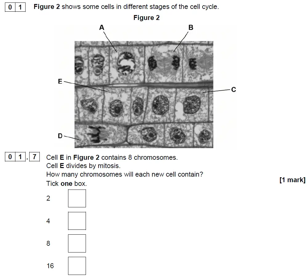 Question 07 - GCSE AQA Foundation Biology Past Paper 1 - June 2018