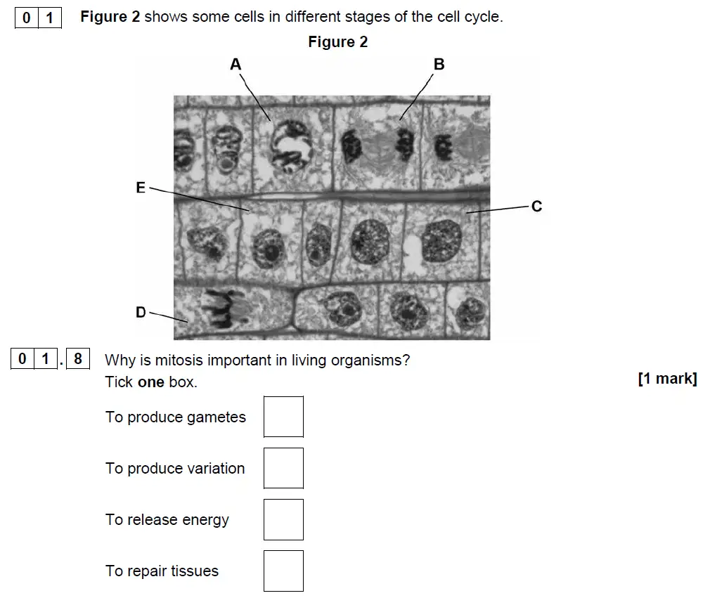 Question 08 - GCSE AQA Foundation Biology Past Paper 1 - June 2018