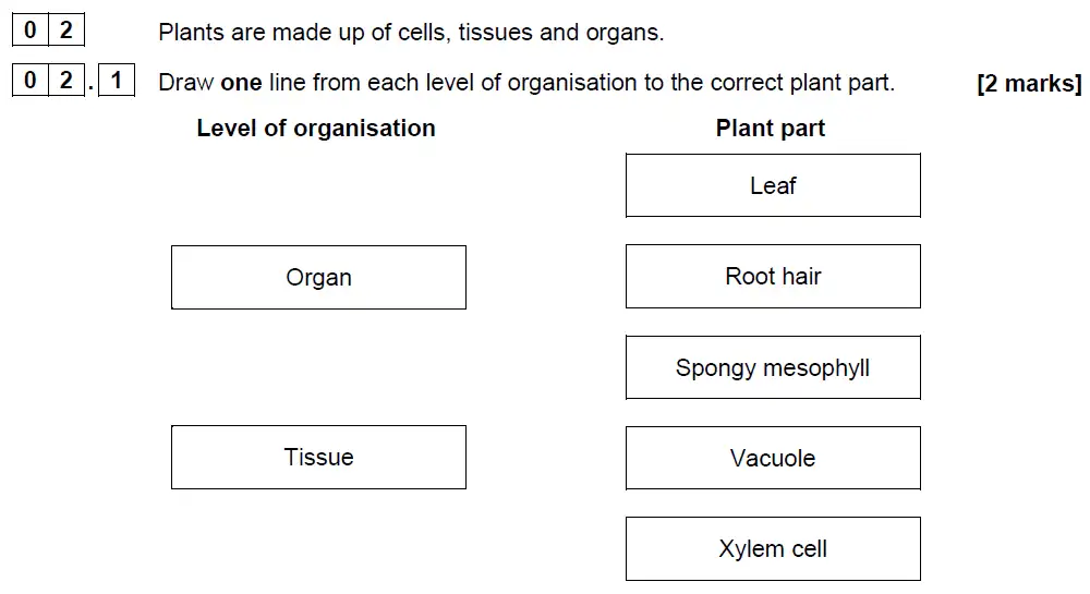 Question 09 - GCSE AQA Foundation Biology Past Paper 1 - June 2018