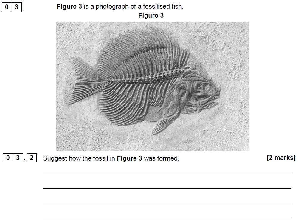 Question 11 - GCSE AQA Foundation Biology Past Paper 2 - June 2018