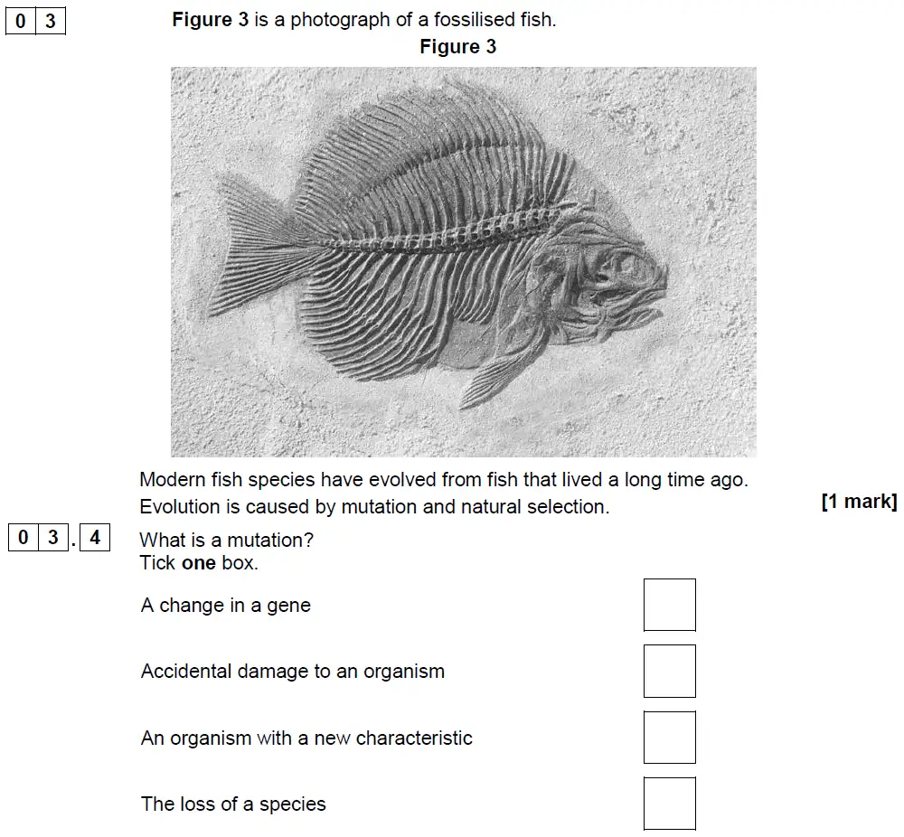 Question 13 - GCSE AQA Foundation Biology Past Paper 2 - June 2018