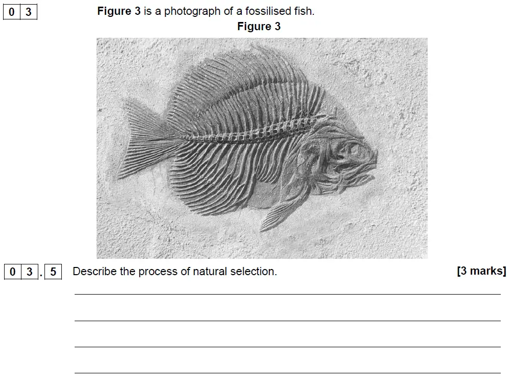 Question 14 - GCSE AQA Foundation Biology Past Paper 2 - June 2018