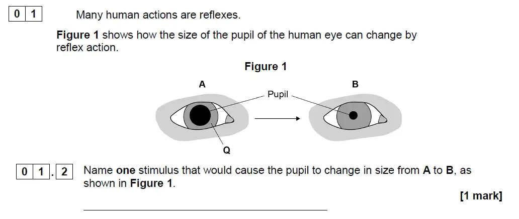 Question 2 - GCSE AQA Higher Biology Past Paper 2 - June 2018