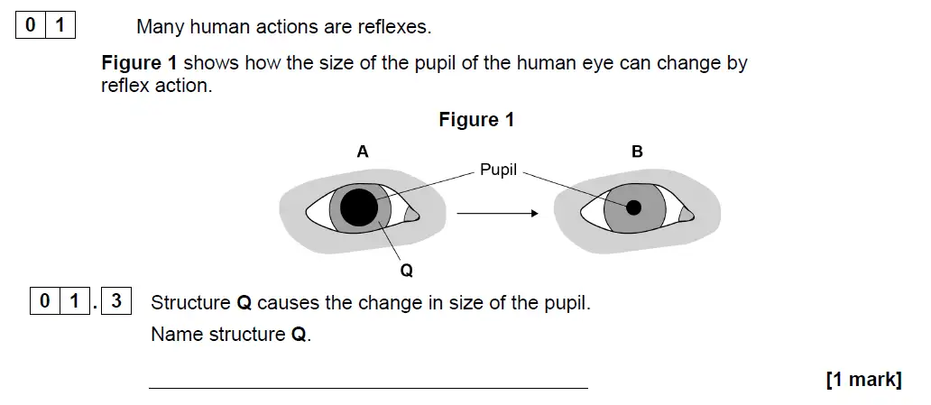 Question 3 - GCSE AQA Higher Biology Past Paper 2 - June 2018