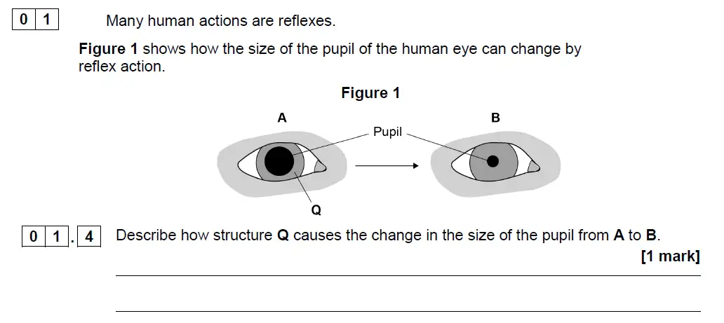Question 4 - GCSE AQA Higher Biology Past Paper 2 - June 2018