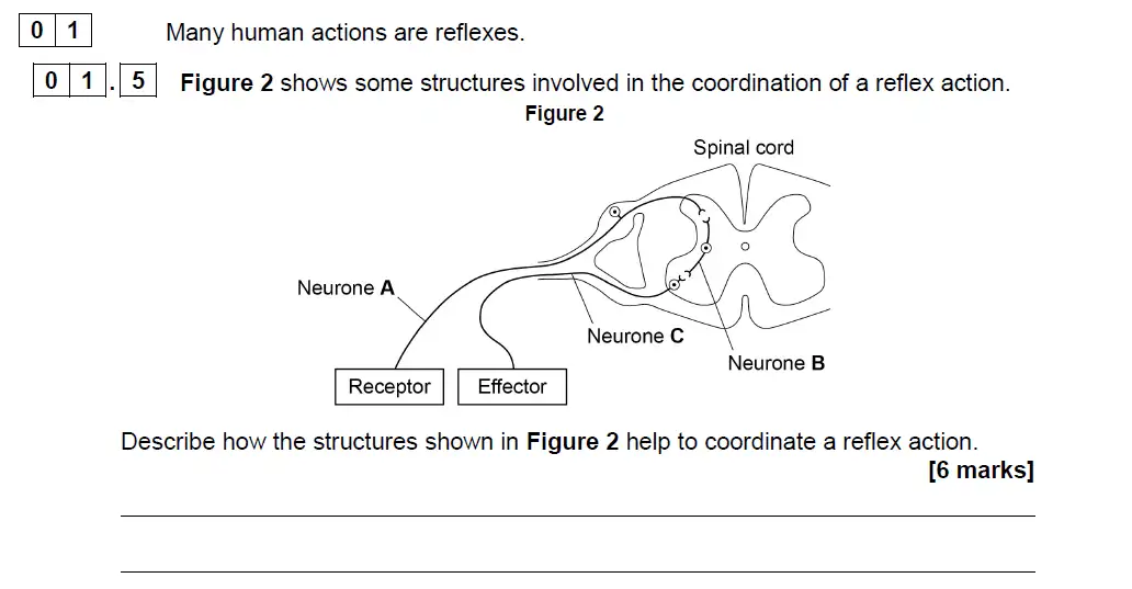 Question 5 - GCSE AQA Higher Biology Past Paper 2 - June 2018