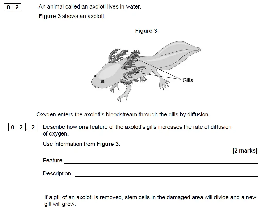 Question 11 - GCSE AQA Foundation Biology Past Paper 1 - June 2019