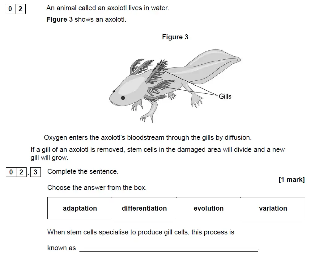 Question 12 - GCSE AQA Foundation Biology Past Paper 1 - June 2019