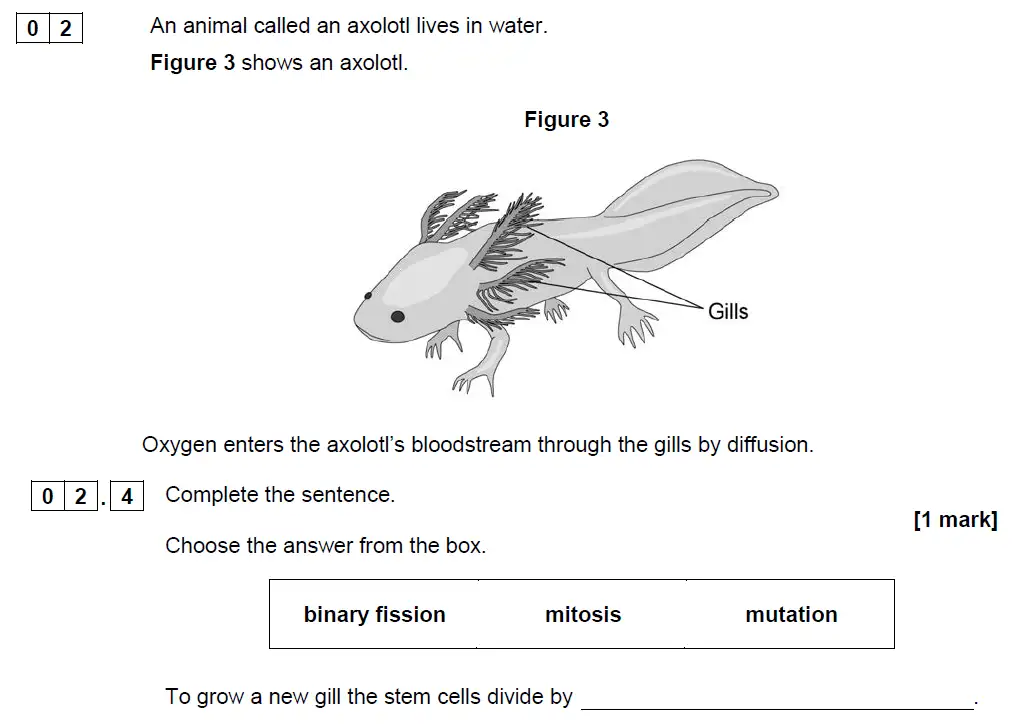 Question 13 - GCSE AQA Foundation Biology Past Paper 1 - June 2019