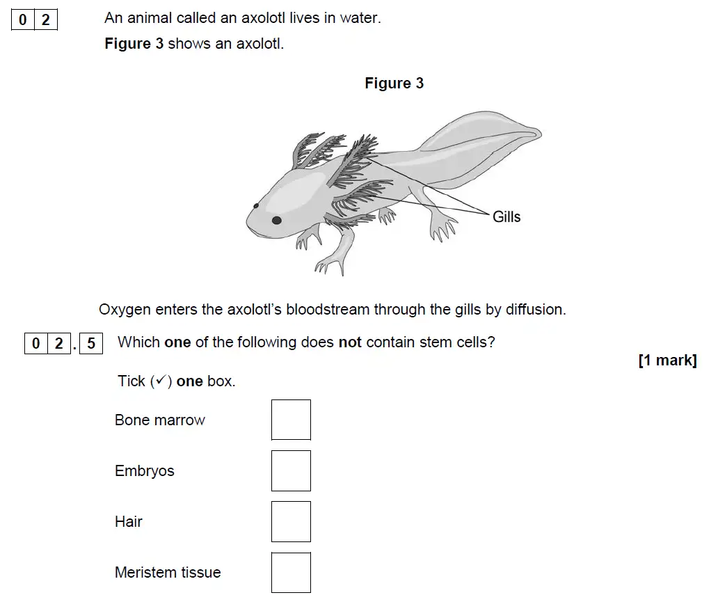 Question 14 - GCSE AQA Foundation Biology Past Paper 1 - June 2019