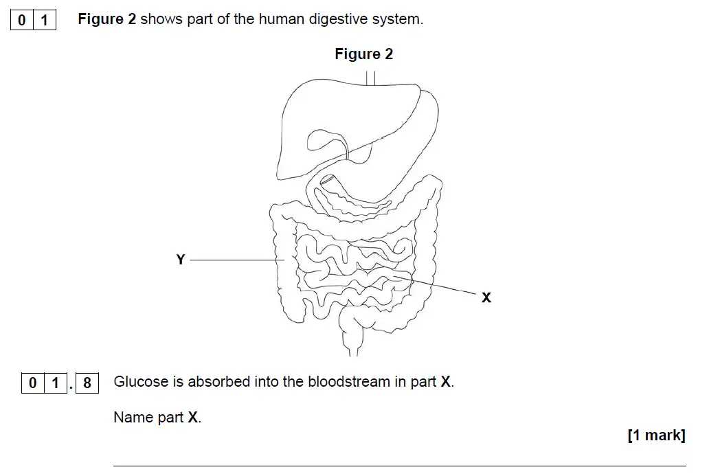 Question 8 - GCSE AQA Foundation Biology Past Paper 1 - June 2019