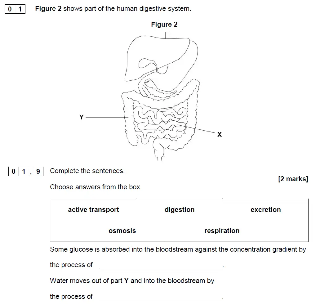 Question 9 - GCSE AQA Foundation Biology Past Paper 1 - June 2019