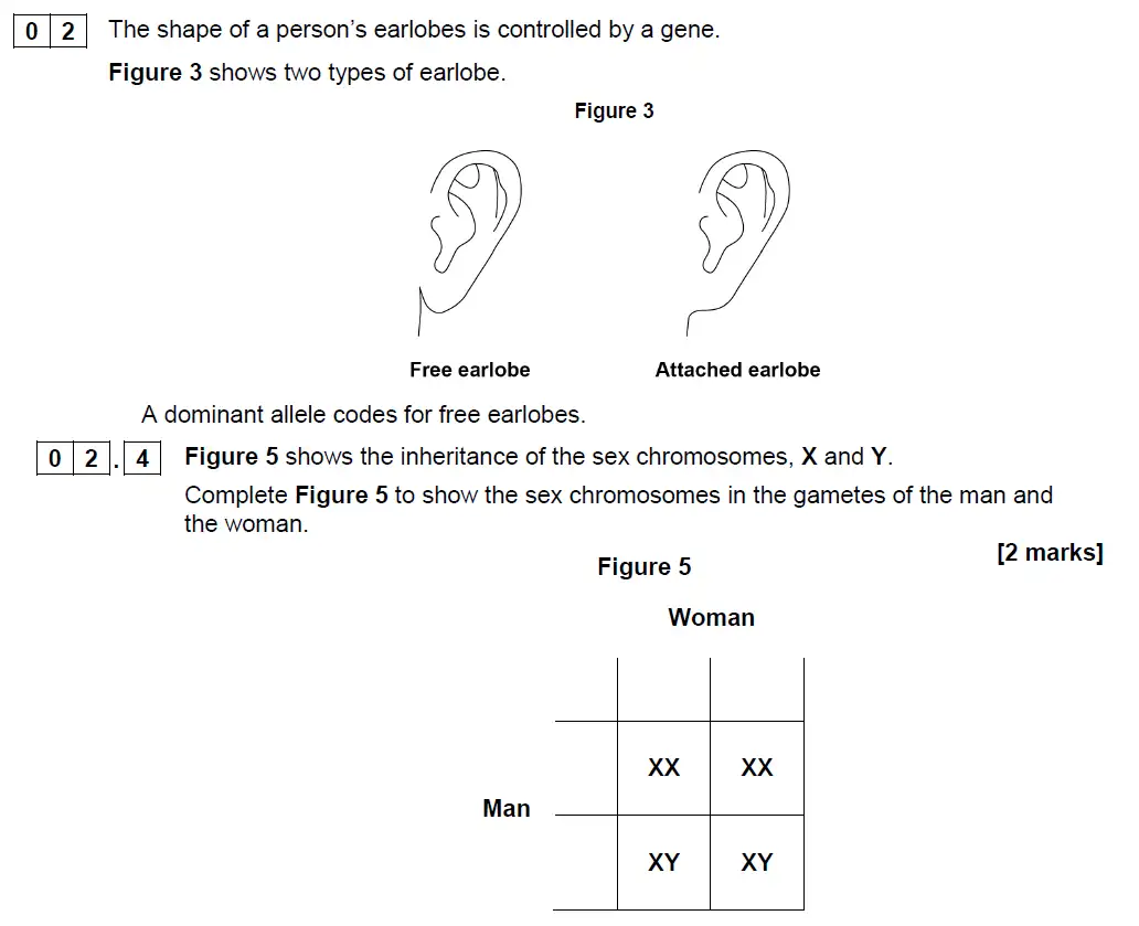 Question 10 - GCSE AQA Foundation Biology Past Paper 2 - June 2019