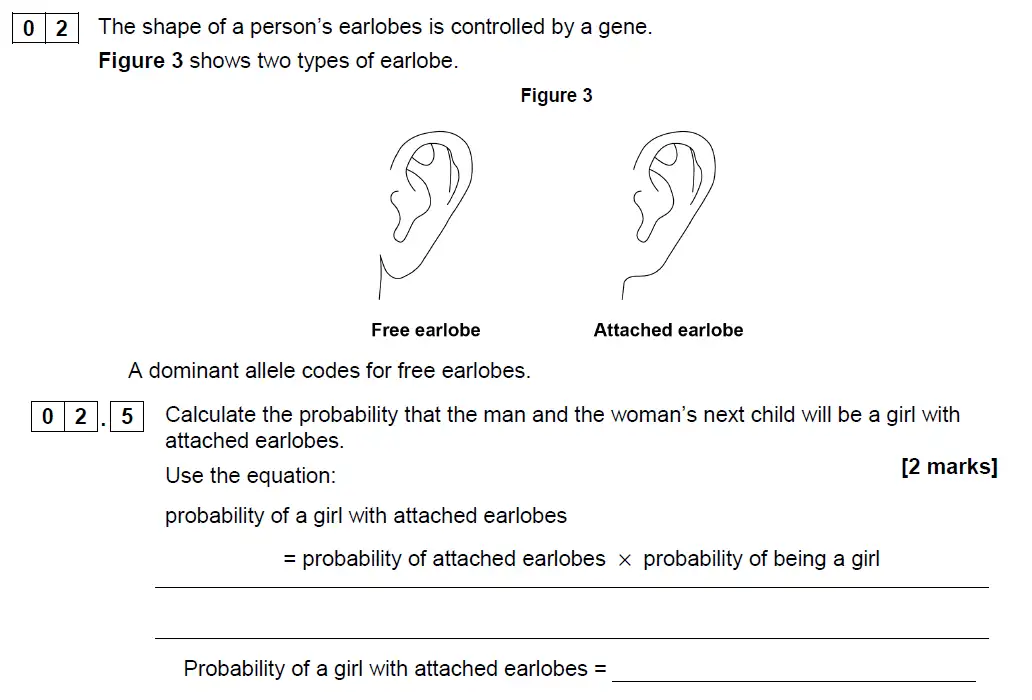 Question 11 - GCSE AQA Foundation Biology Past Paper 2 - June 2019