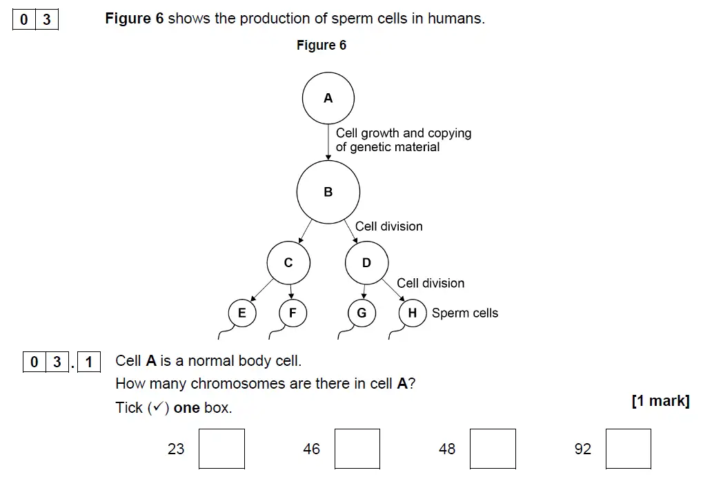 Question 12 - GCSE AQA Foundation Biology Past Paper 2 - June 2019