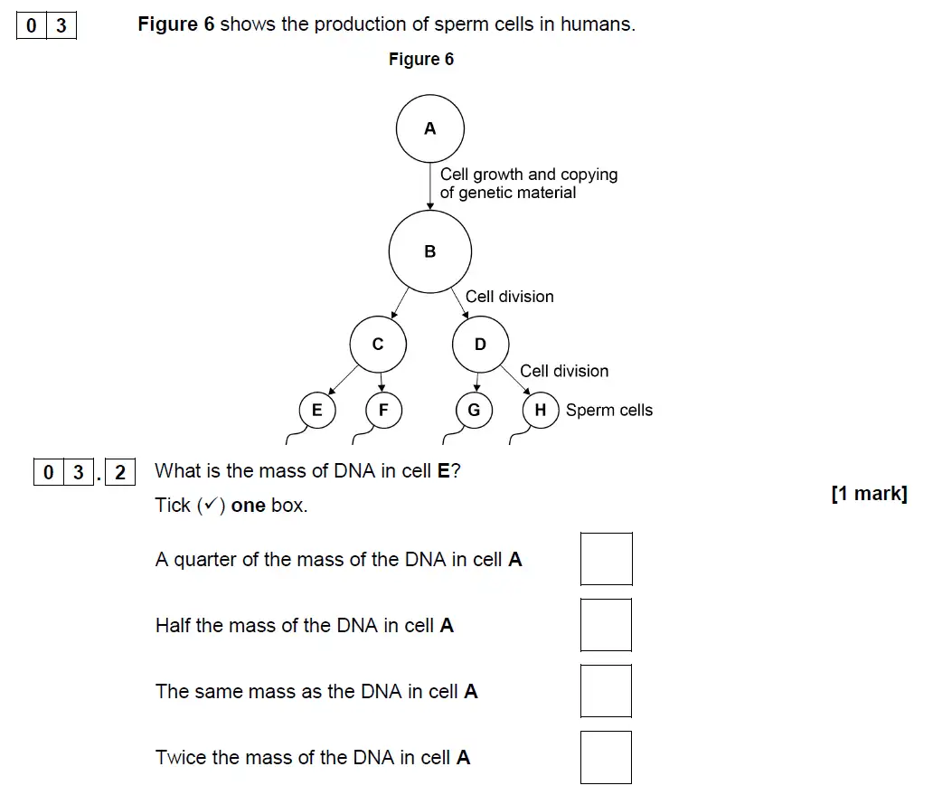 Question 13 - GCSE AQA Foundation Biology Past Paper 2 - June 2019