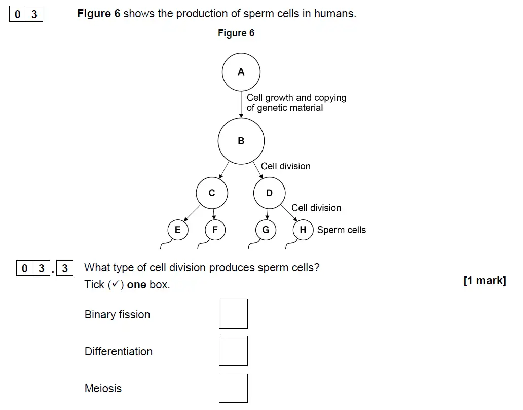 Question 14 - GCSE AQA Foundation Biology Past Paper 2 - June 2019