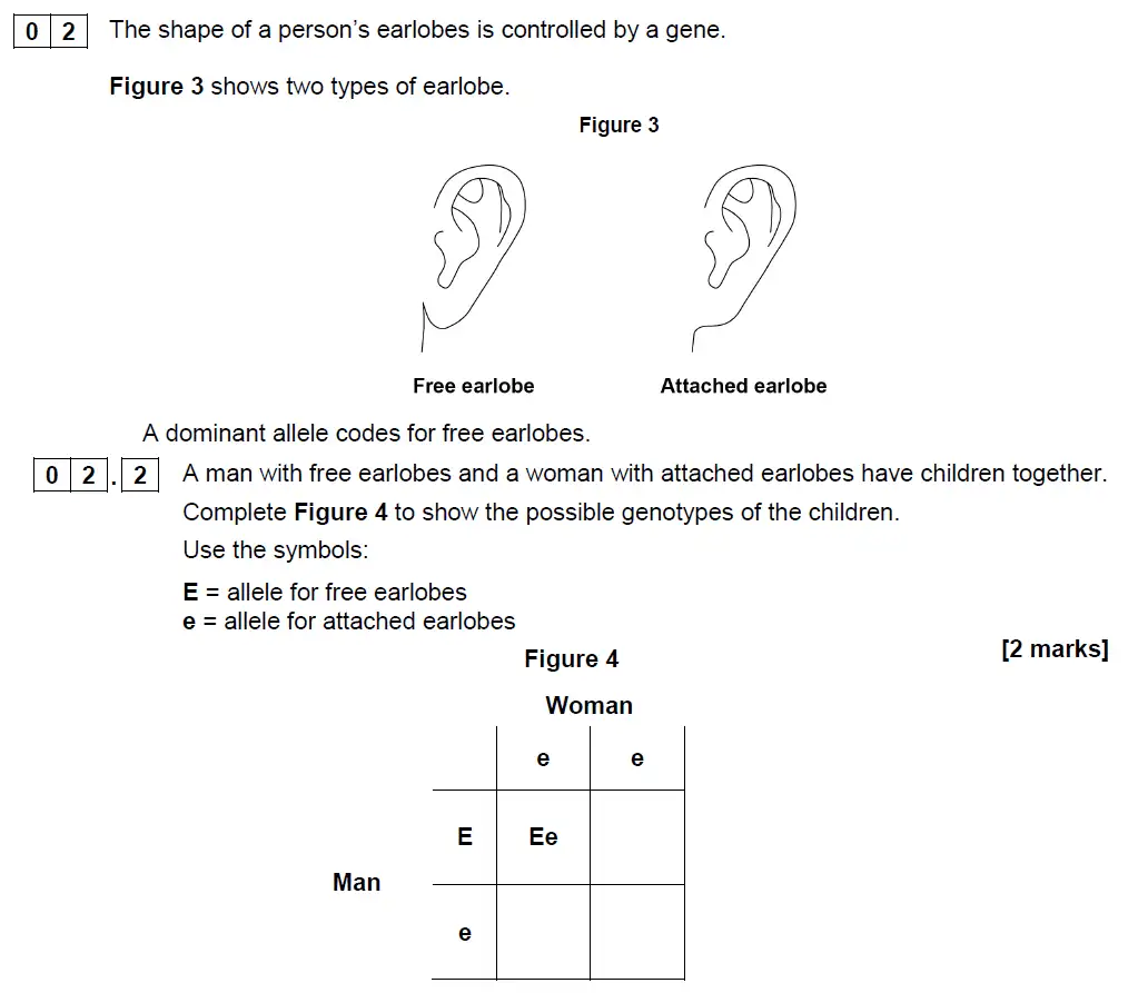 Question 8 - GCSE AQA Foundation Biology Past Paper 2 - June 2019