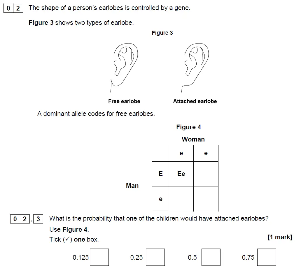 Question 9 - GCSE AQA Foundation Biology Past Paper 2 - June 2019