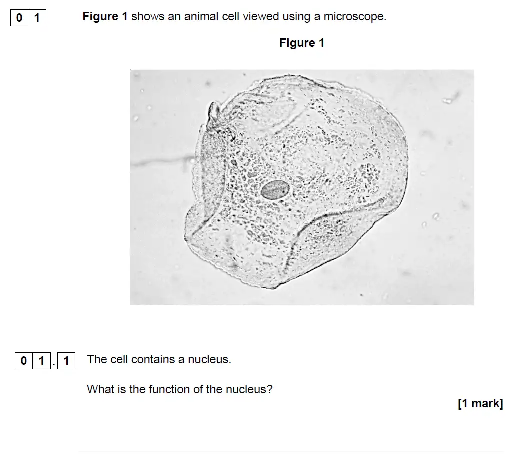 Question 1 - GCSE AQA Higher Biology Past Paper 1 - June 2019