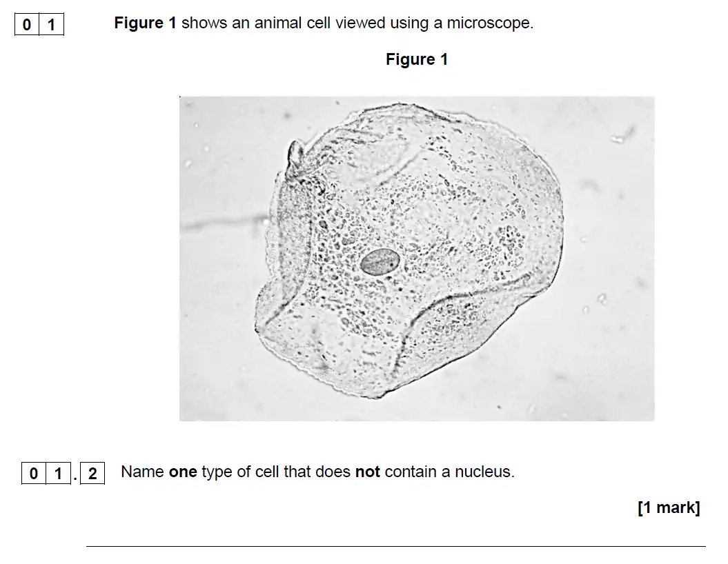 Question 2 - GCSE AQA Higher Biology Past Paper 1 - June 2019
