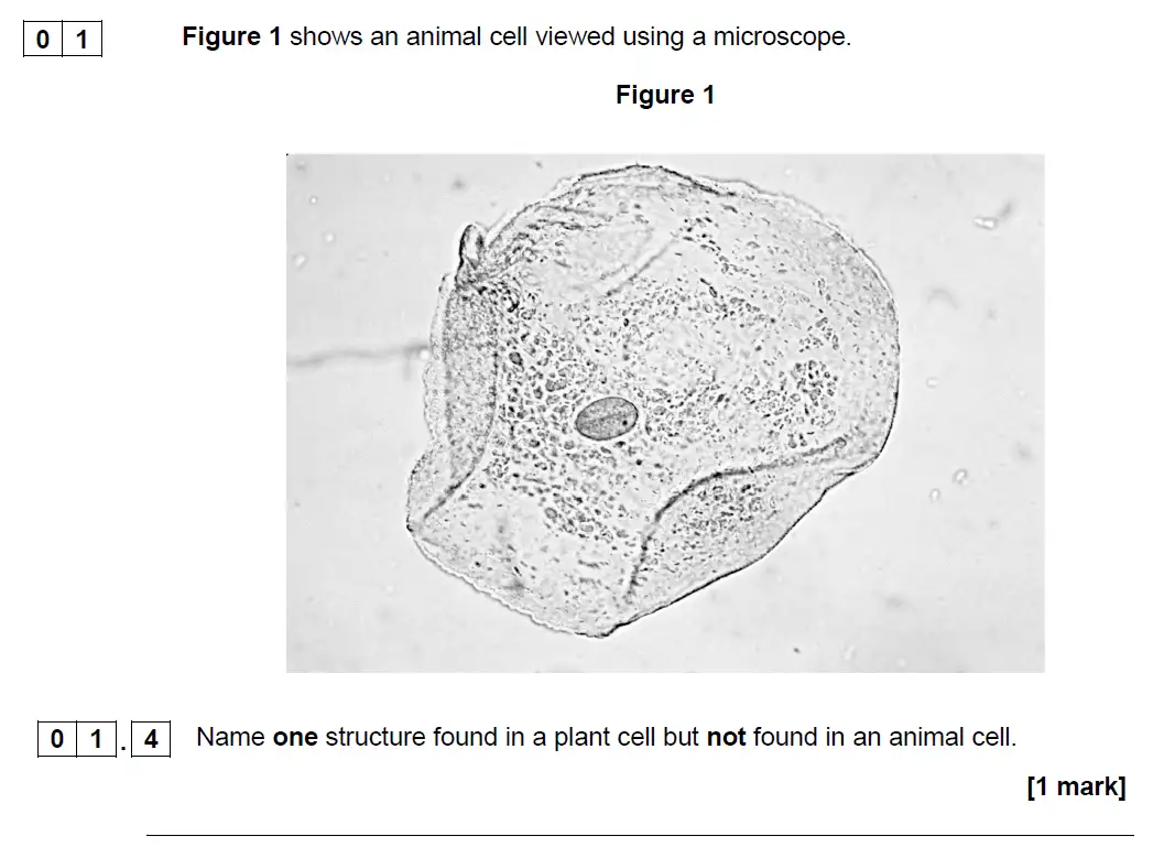 Question 4 - GCSE AQA Higher Biology Past Paper 1 - June 2019