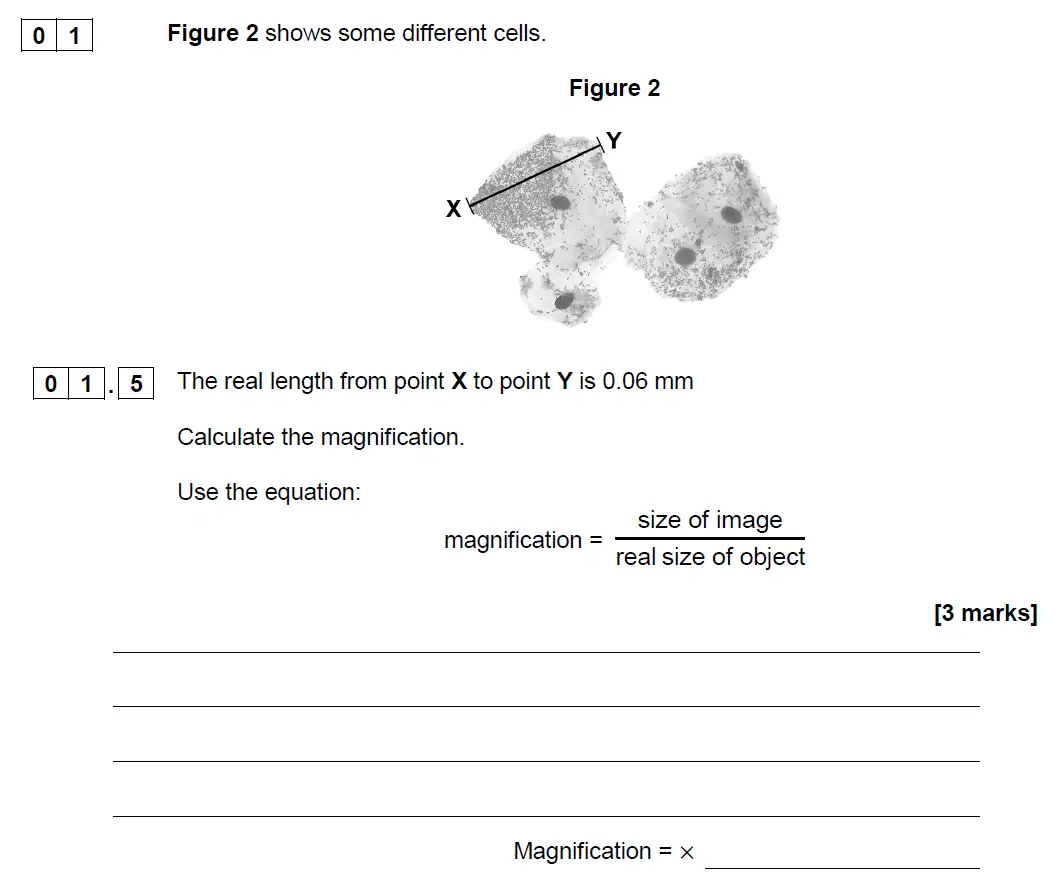 Question 5 - GCSE AQA Higher Biology Past Paper 1 - June 2019