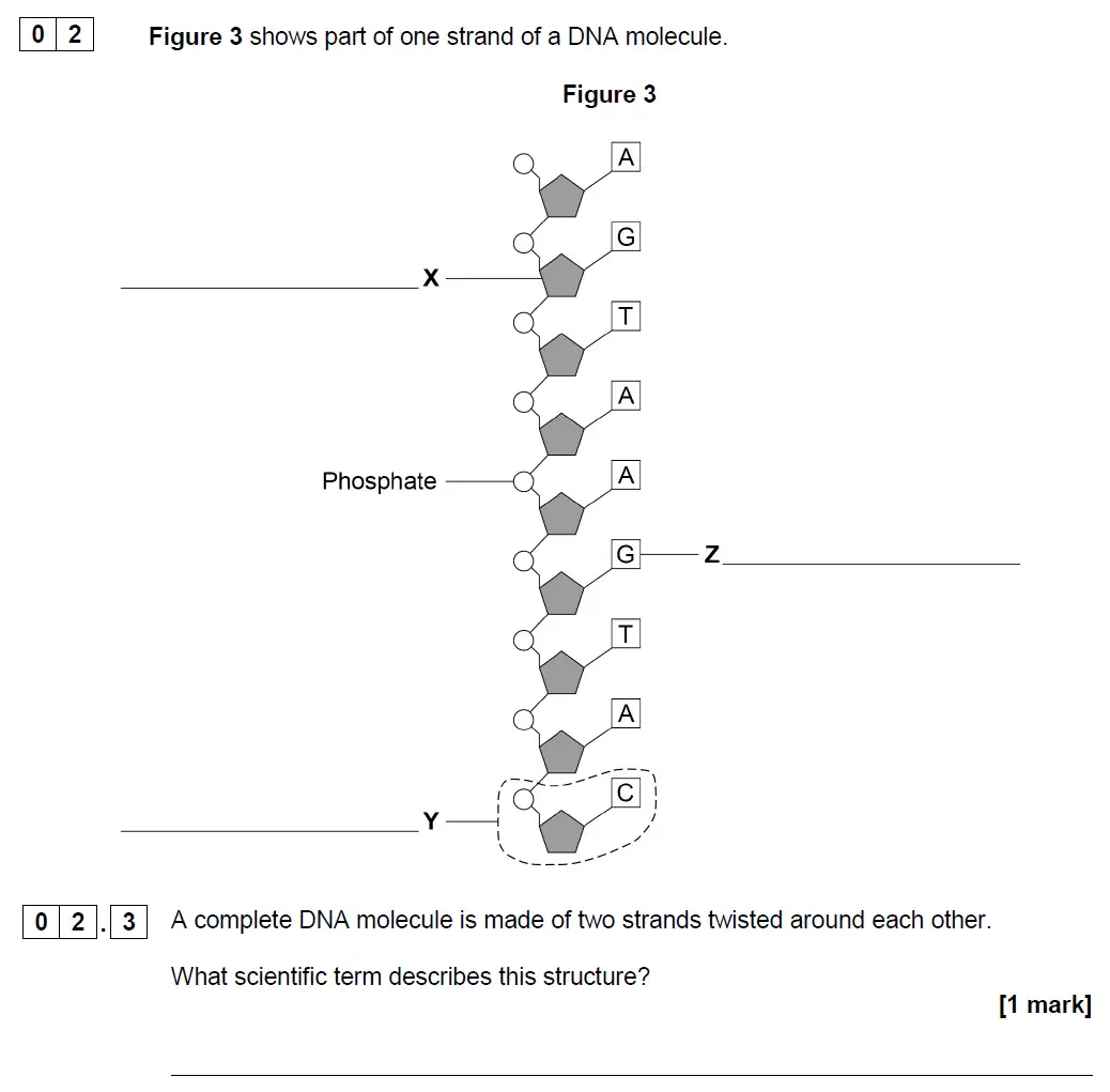 Question 10 - GCSE AQA Higher Biology Past Paper 2 - June 2019