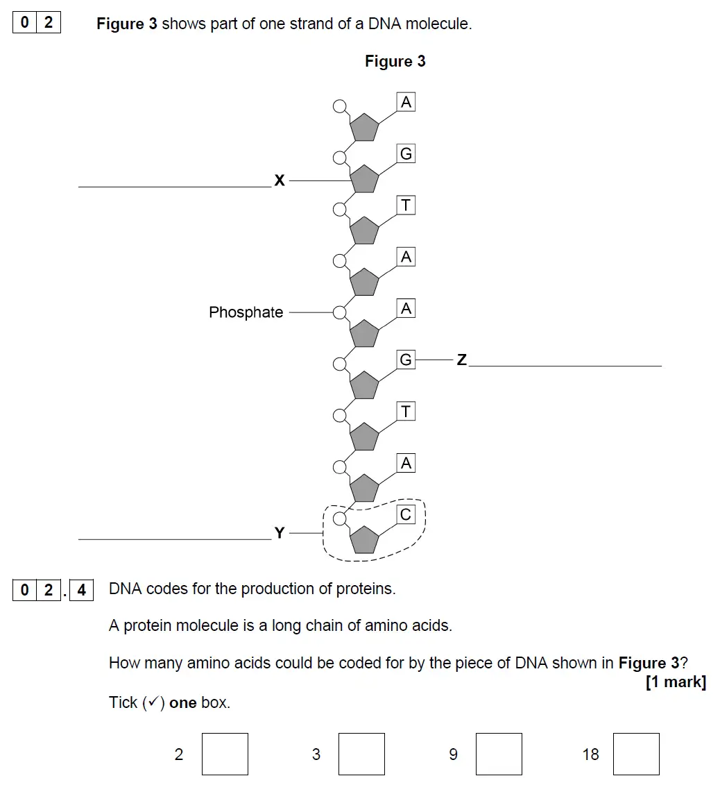 Question 11 - GCSE AQA Higher Biology Past Paper 2 - June 2019