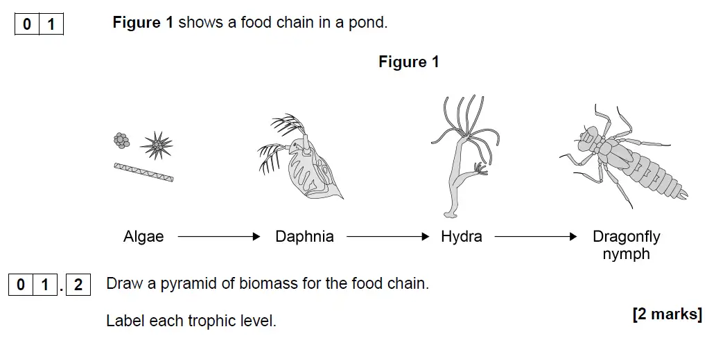 Question 2 - GCSE AQA Higher Biology Past Paper 2 - June 2019