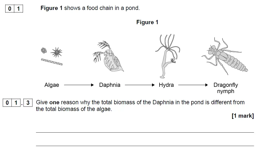 Question 3 - GCSE AQA Higher Biology Past Paper 2 - June 2019